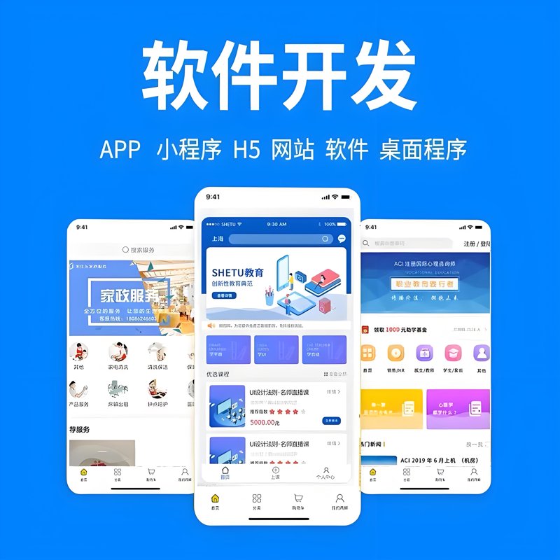 软件开发行业在上海的蓬勃发展