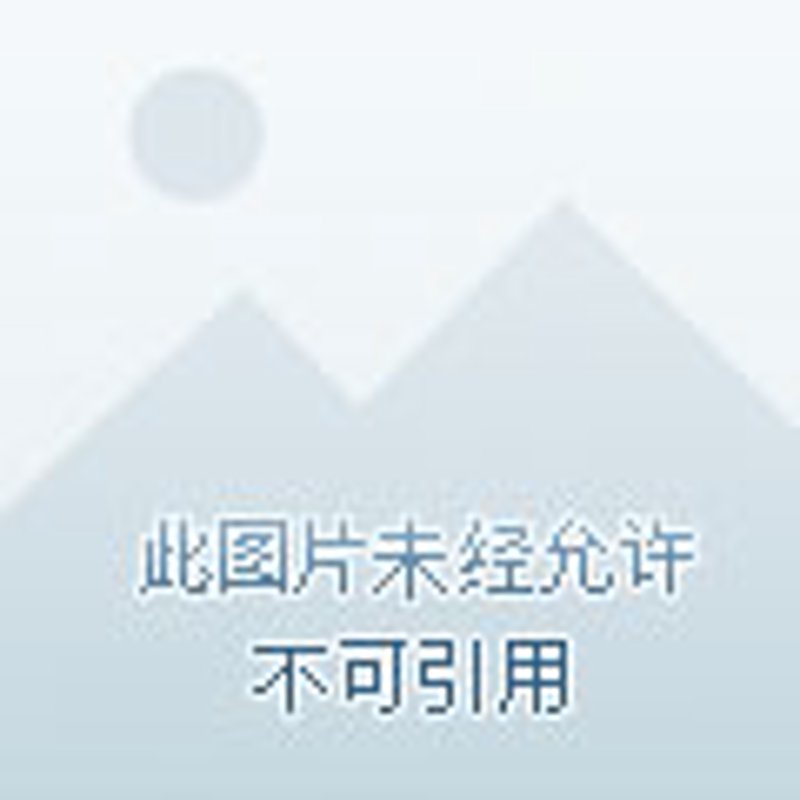 微信小程序开发，引领移动互联网新潮流